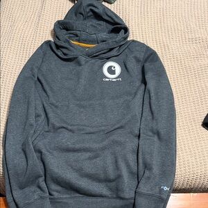 Carhartt Men's Force Dark Gray Hoodie